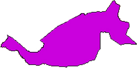 Mapa de San Marcos, Ocotepeque 